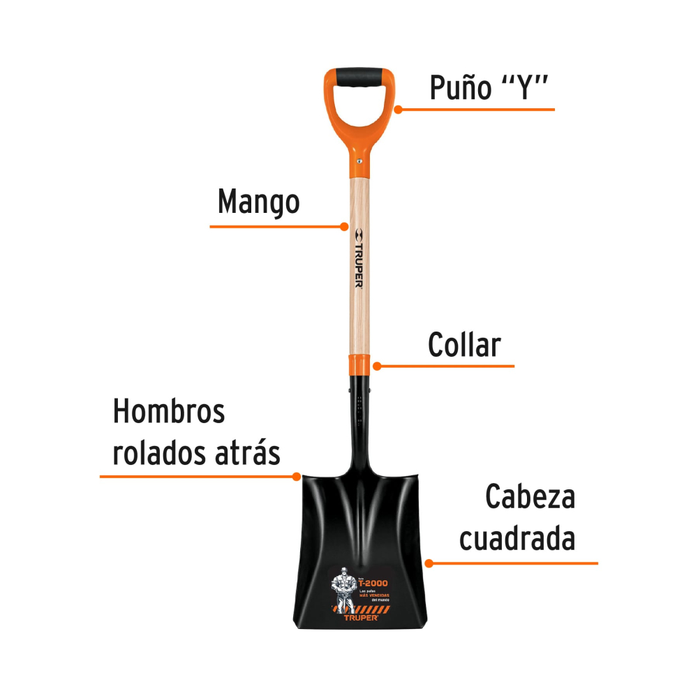 Detalles
