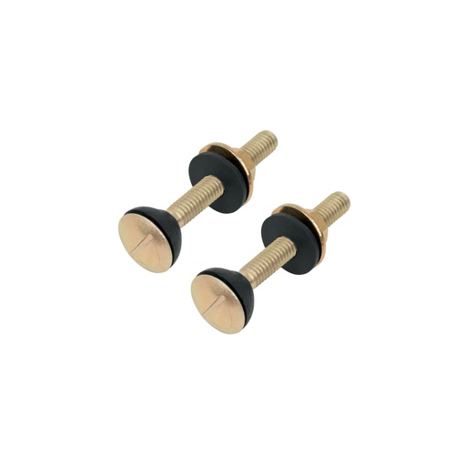 [TOR-WC] Bolsa con 2 tornillos 5/16" x 70 mm para tanque de WC a base, Foset